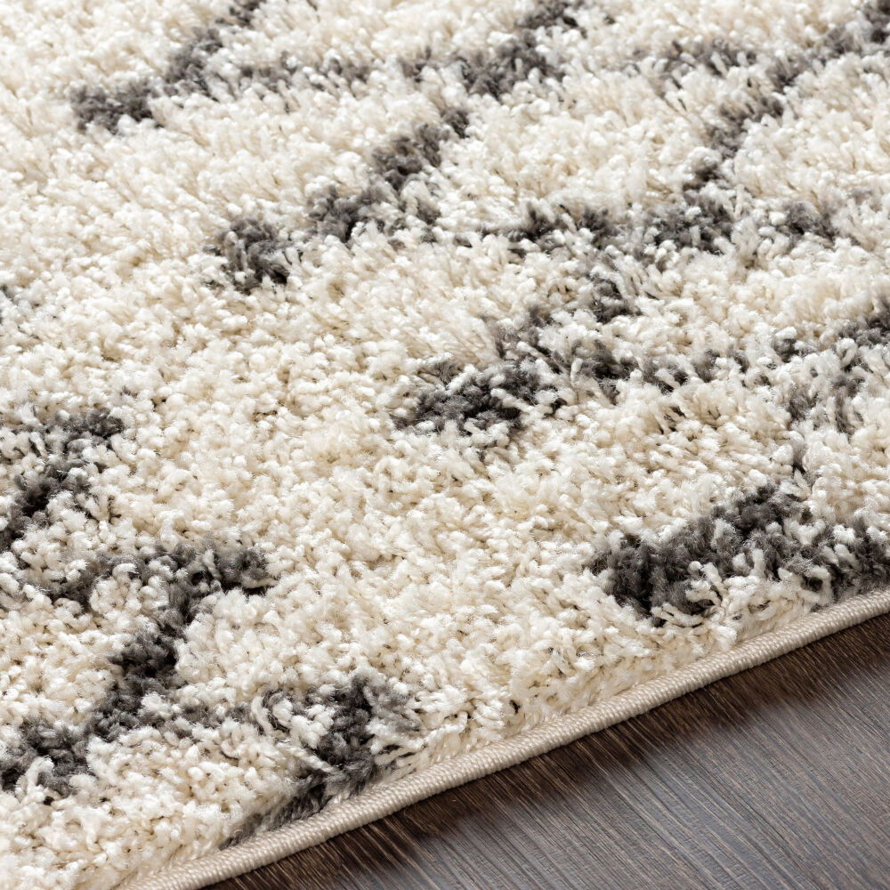 Taza Shag Machine Woven Rug