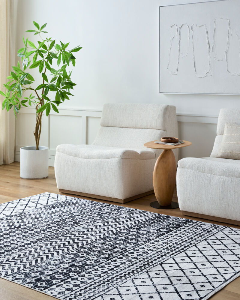 Lavable Machine Woven Rug