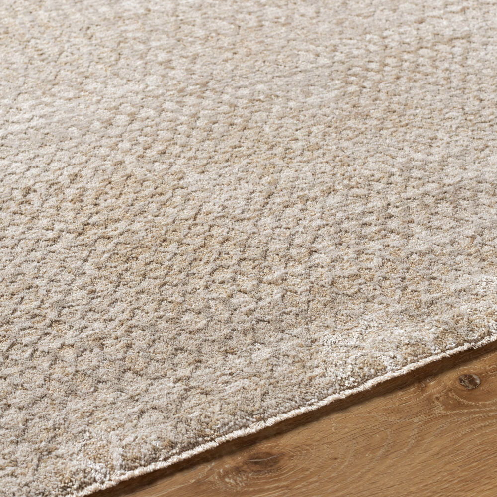 Masterpiece Machine Woven Rug