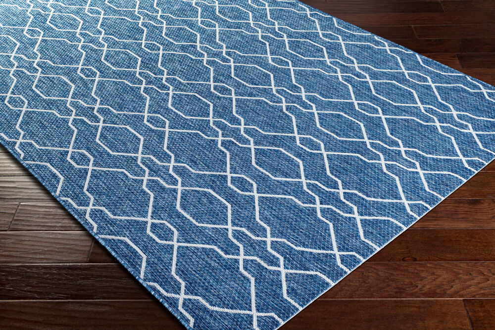 Eagean Machine Woven Rug