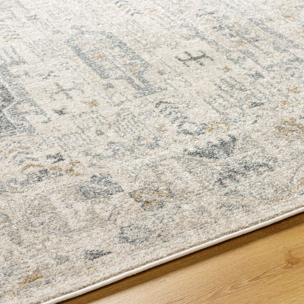 Alpharetta Machine Woven Rug