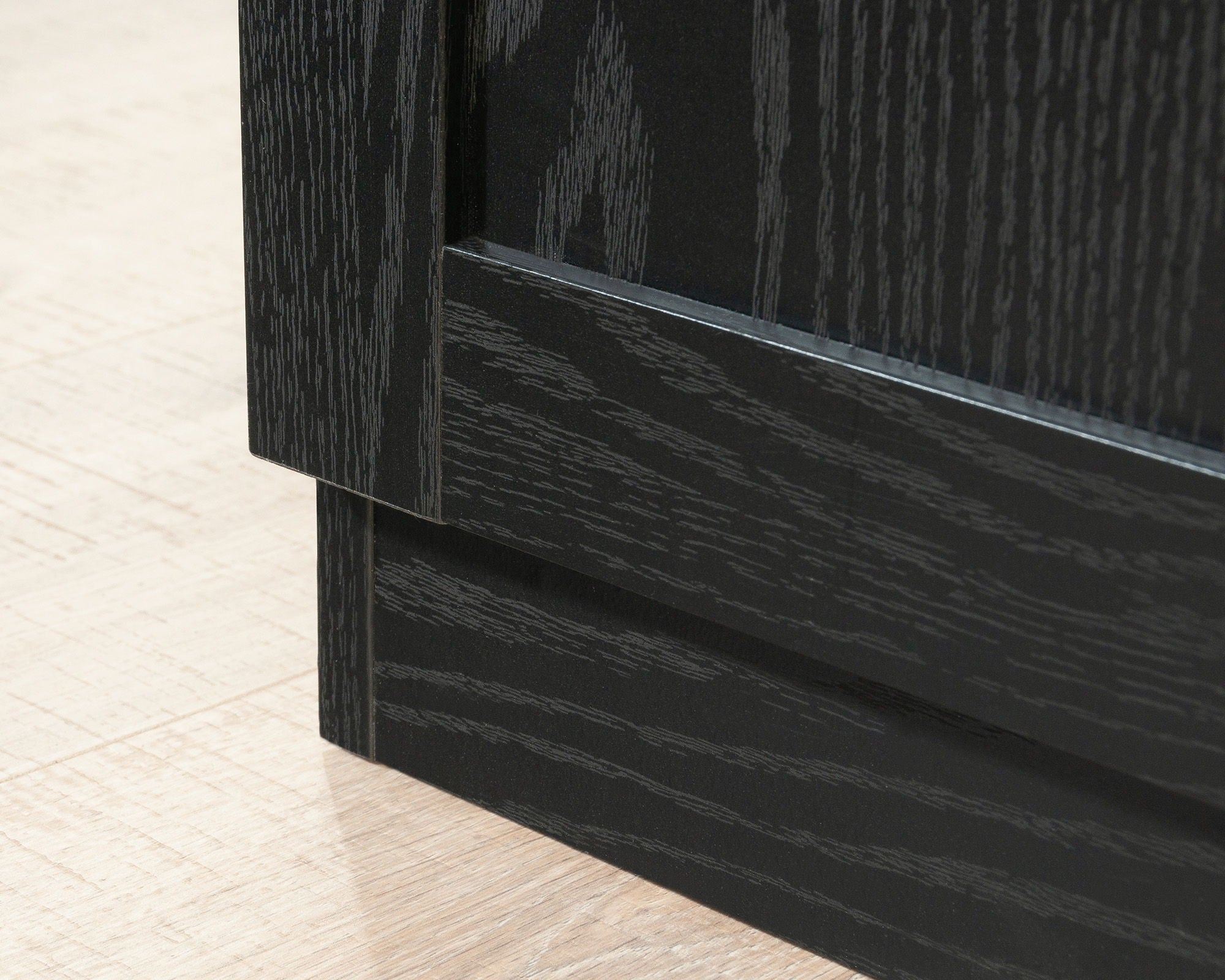 2-Door Storage Cabinet with Shelves in Black