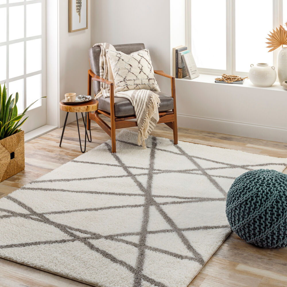 Cloudy Shag Machine Woven Rug