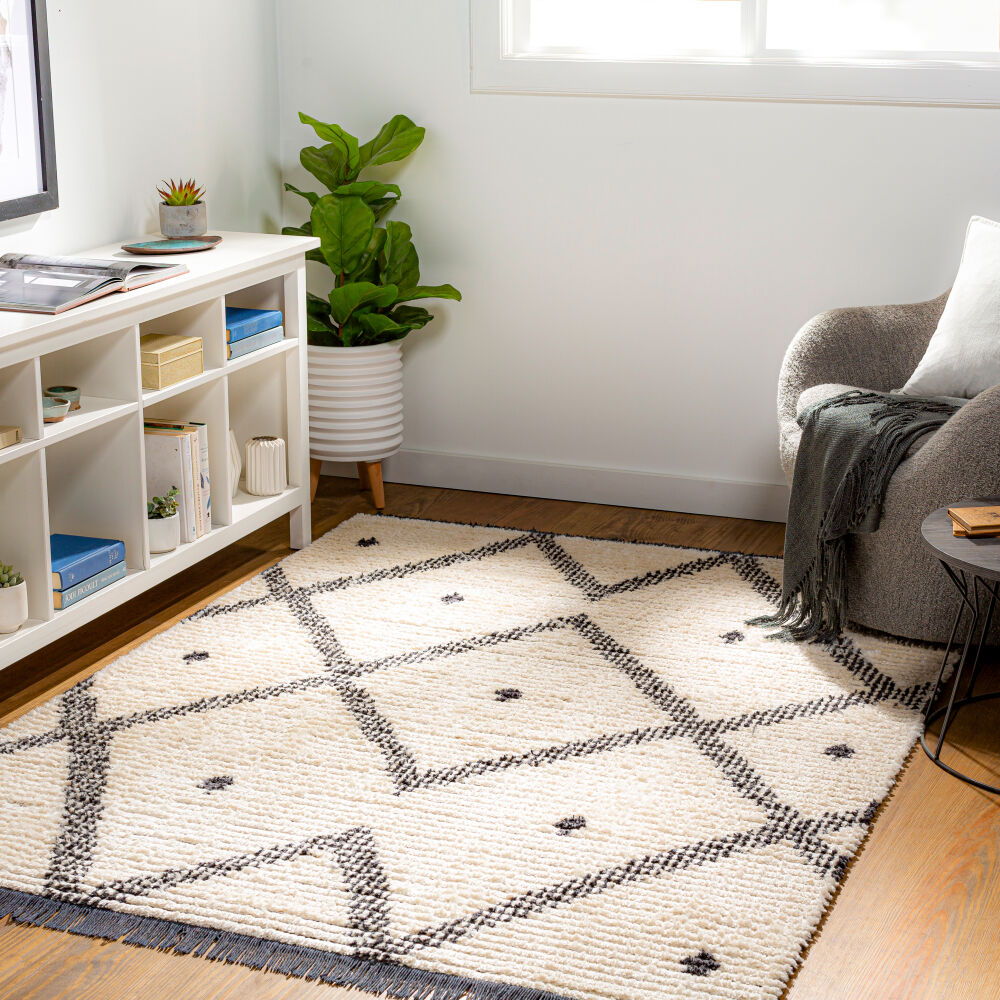 Enzo Machine Woven Rug
