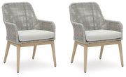 Signature Design by Ashley® Seton Creek - Gray - Arm Chair With Cushion (Set of 2) | Meri Furniture