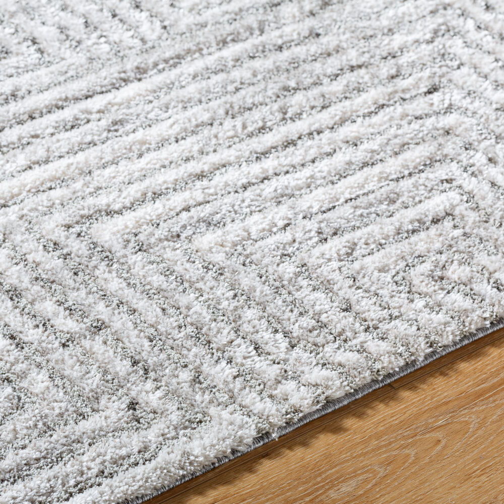 Delight Shag Machine Woven Rug