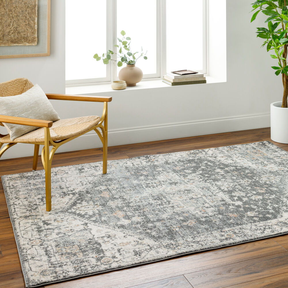 Alpharetta Machine Woven Rug