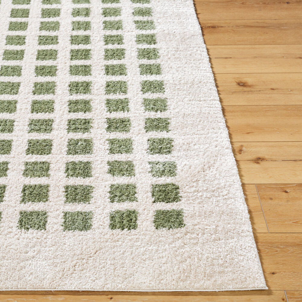Fossay Shag Machine Woven Rug