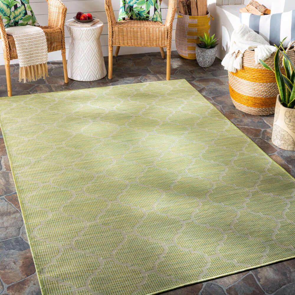 Pasadena Machine Woven Rug