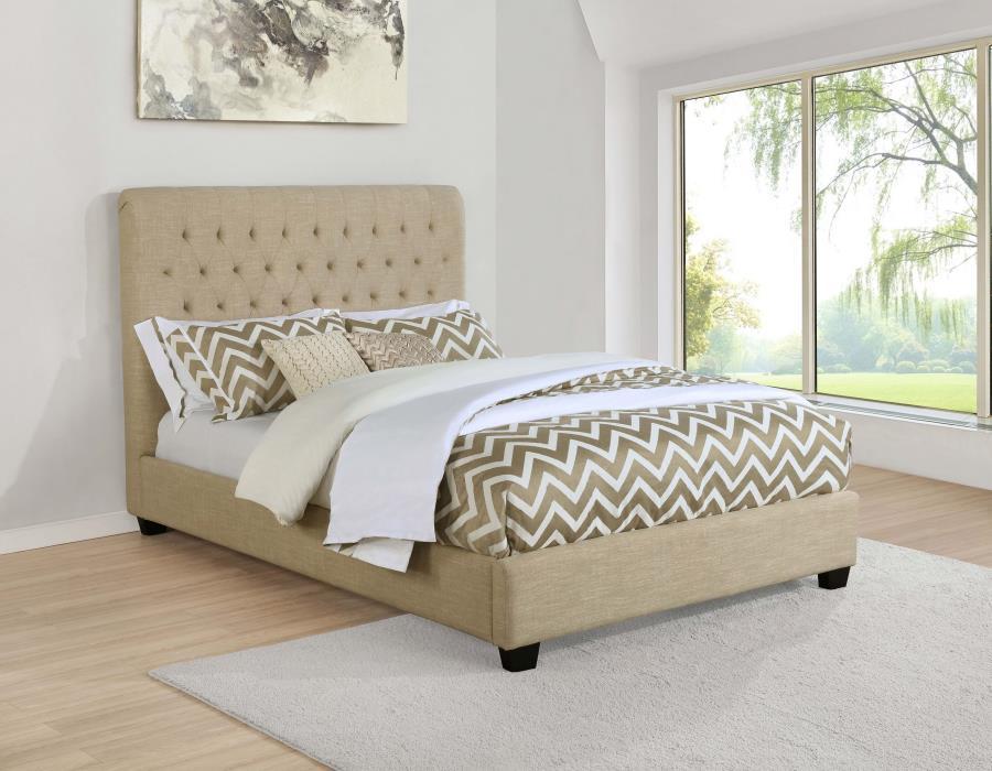 Coaster Fine Furniture Chloe - Upholstered Panel Bed | Meri Furniture