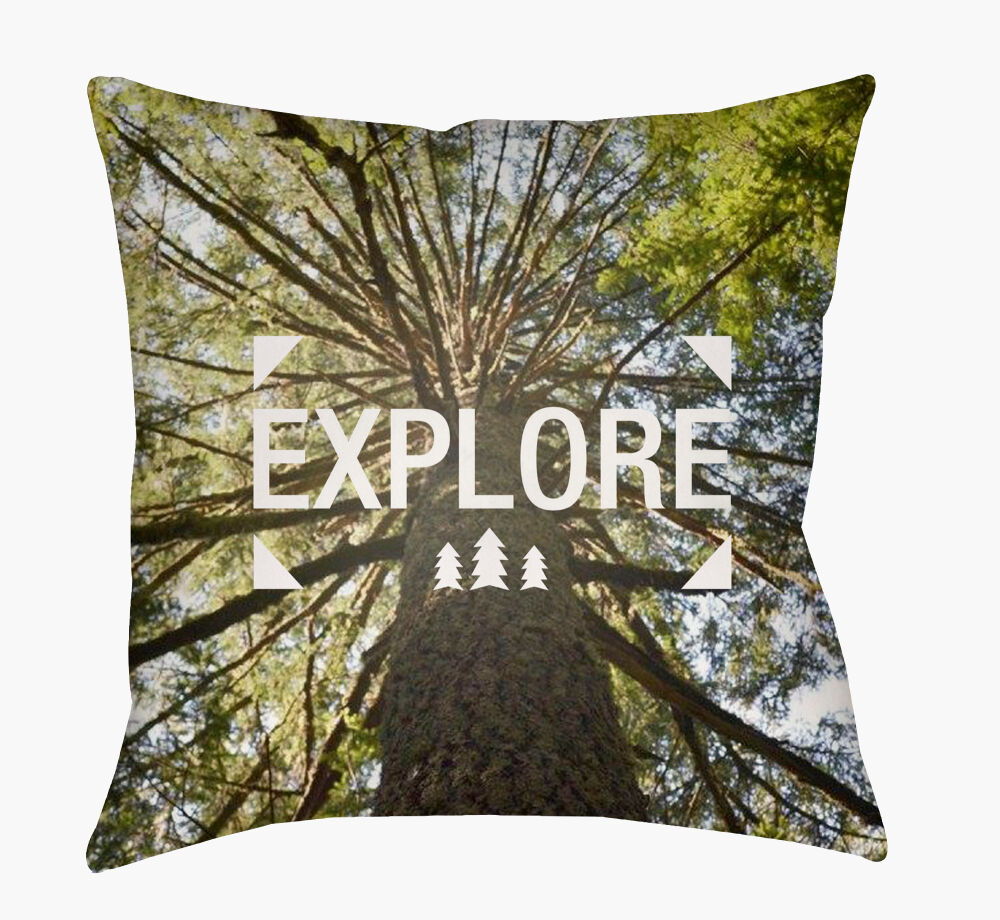 Explore Pillow