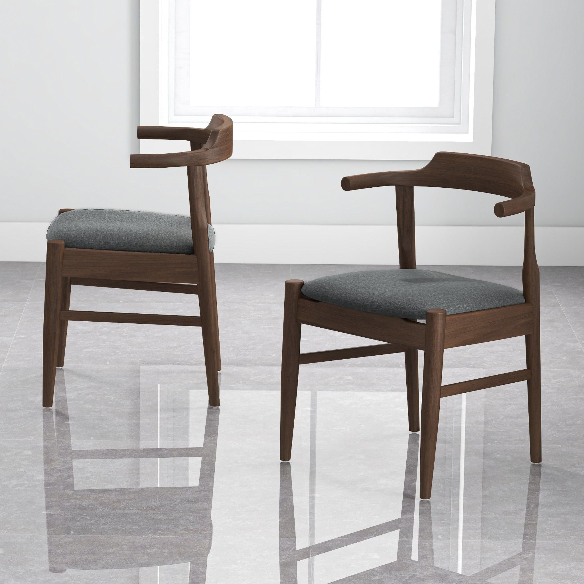 Leon - Mid-Century Modern Dining Chair (Set of 2)
