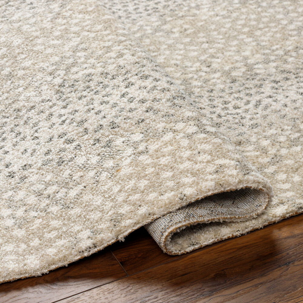 Gavic Machine Woven Rug