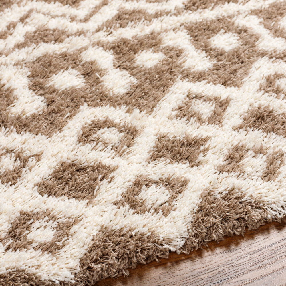 Urban Shag Machine Woven Rug