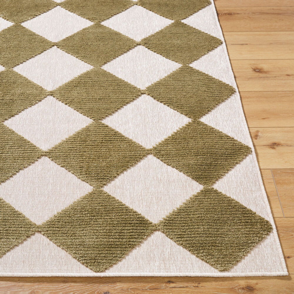 Lyna Machine Woven Rug