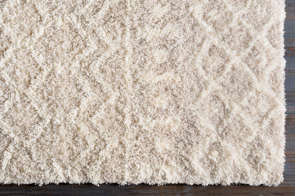 Urban Shag Machine Woven Rug