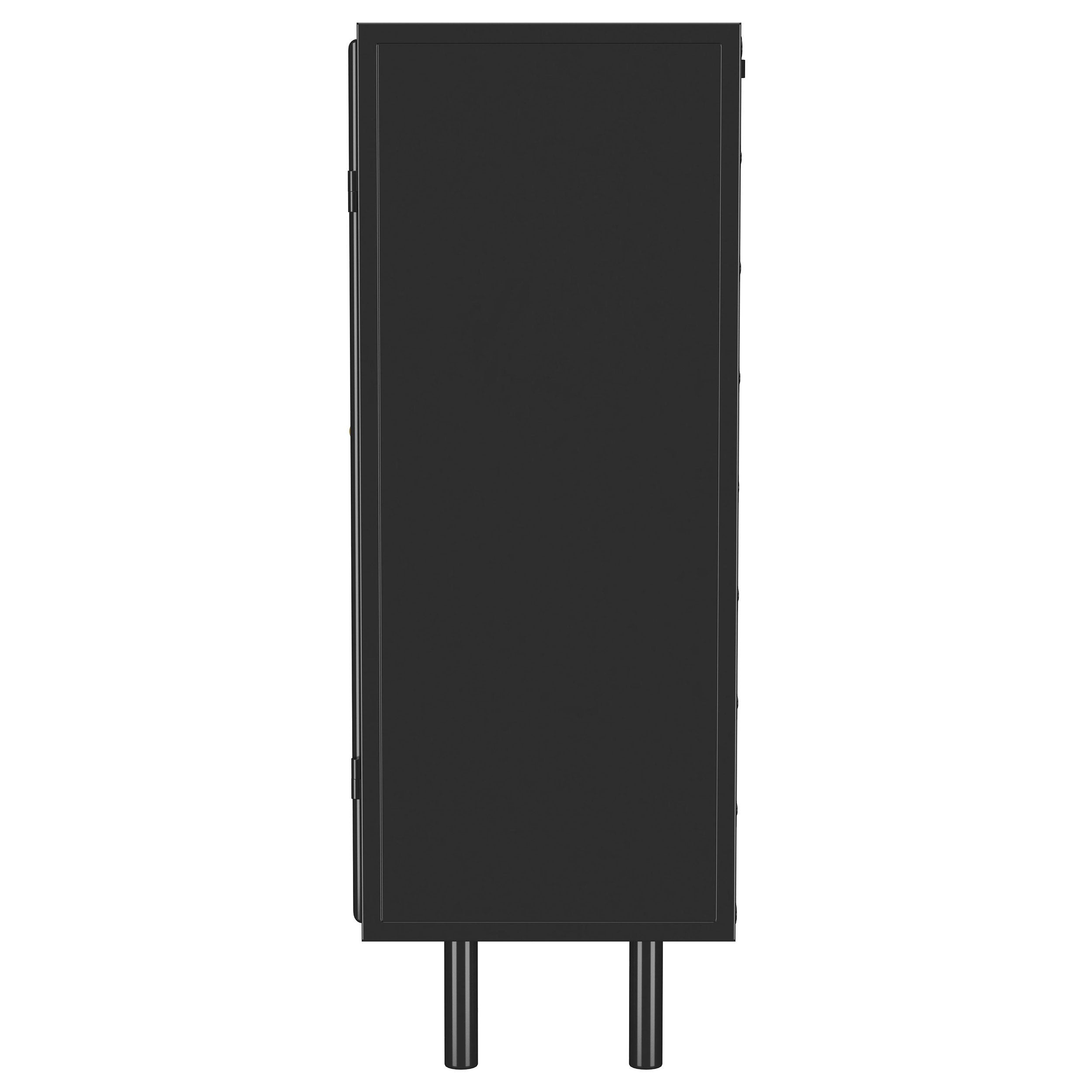 Coaster Fine Furniture Dalia - 2 Door Accent Storage Cabinet With Shelving - Black | Meri Furniture