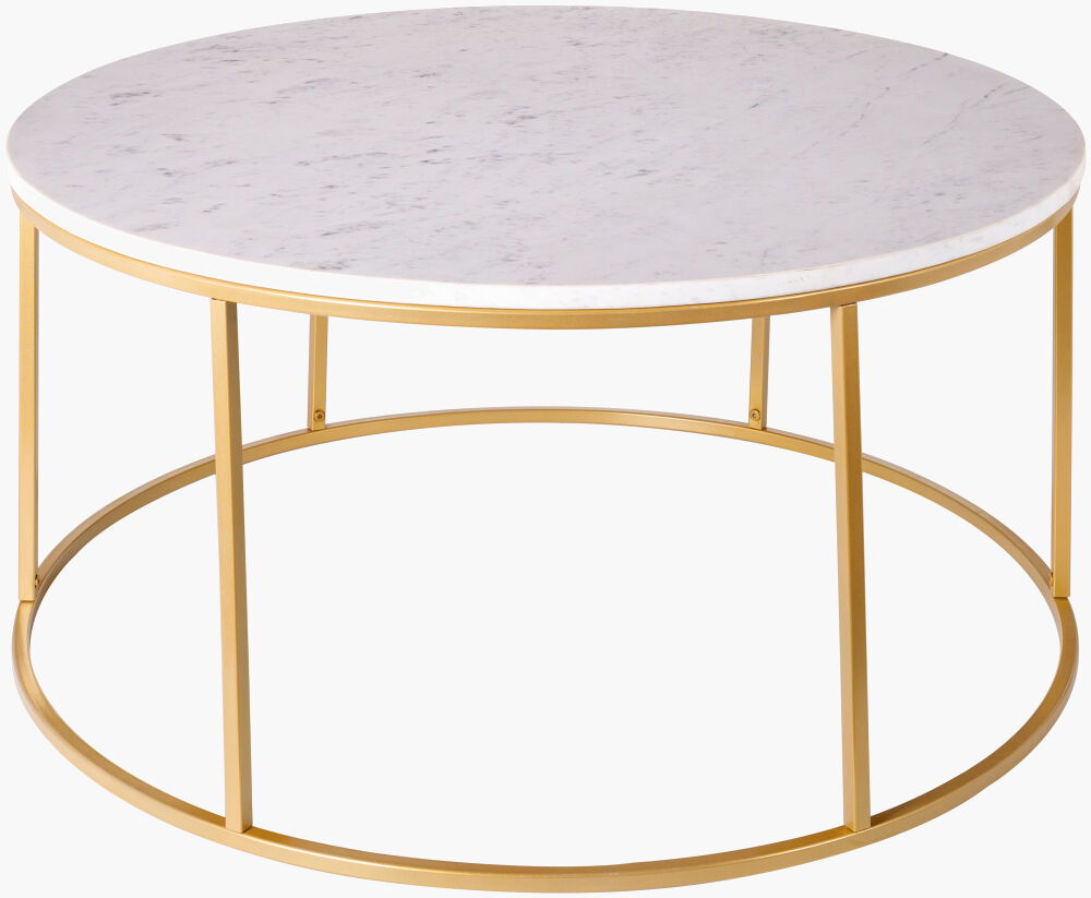 Aryaa Coffee Table