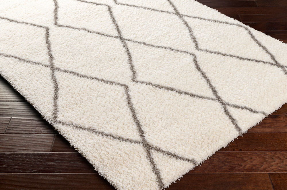 Cloudy Shag Machine Woven Rug
