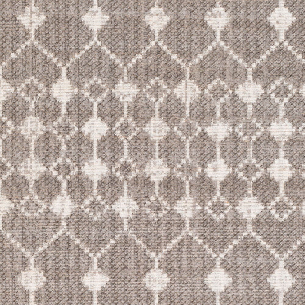 Rafetus Machine Woven Rug