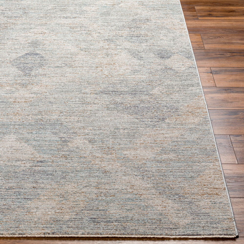 Avant Garde Machine Woven Rug