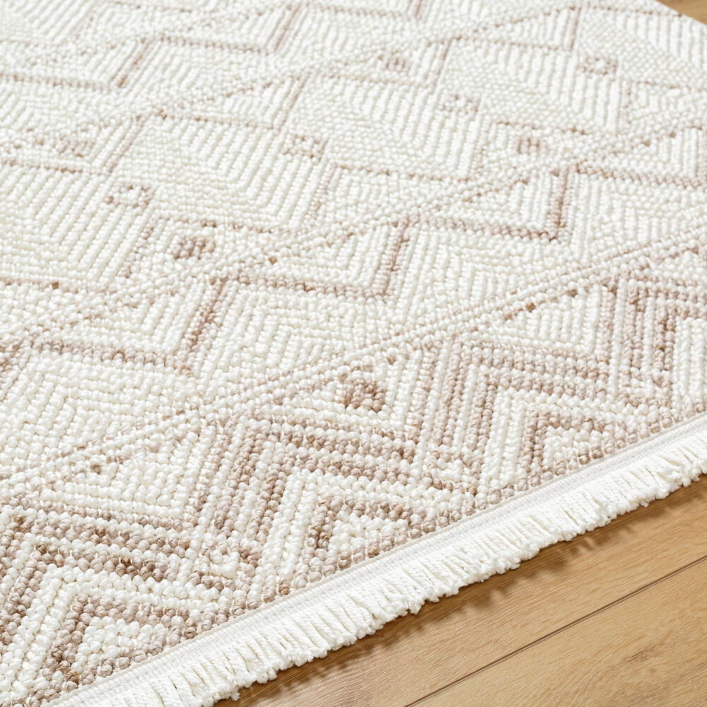 New Delhi Machine Woven Rug