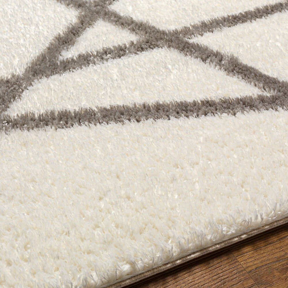 Cloudy Shag Machine Woven Rug