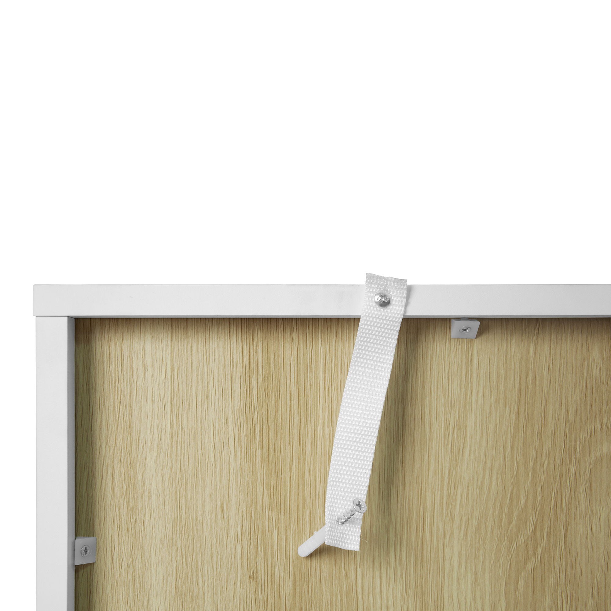 Storage Cabinet With Acrylic Door For Living Room