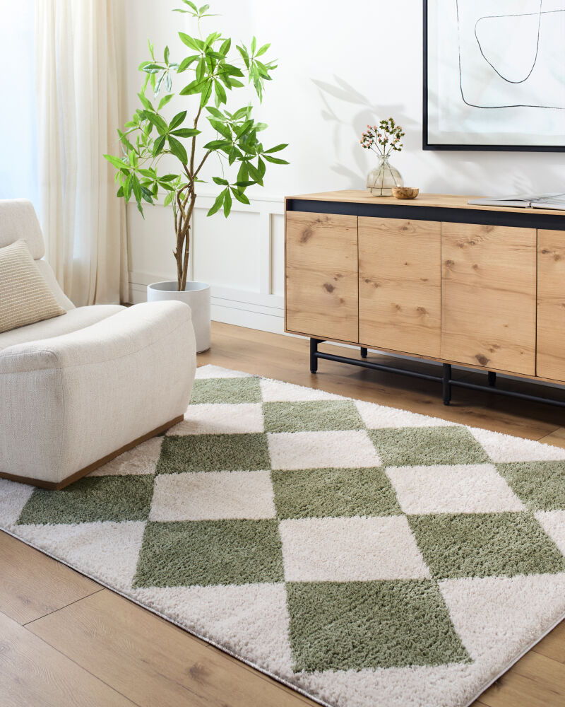 Fossay Shag Machine Woven Rug