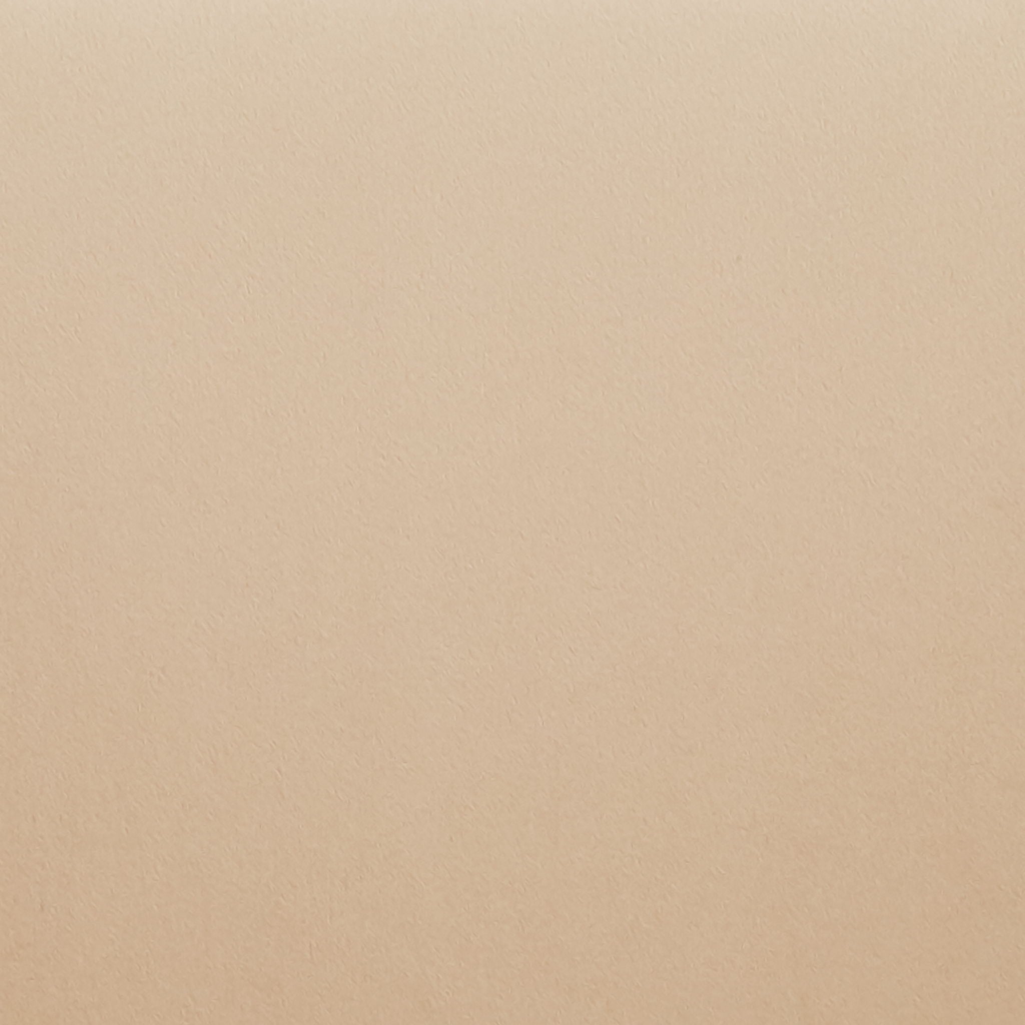 Modern Counter Stools (Set of 2)