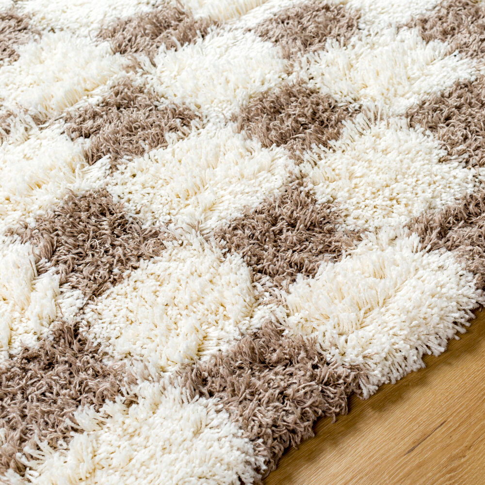 Urban Shag Machine Woven Rug