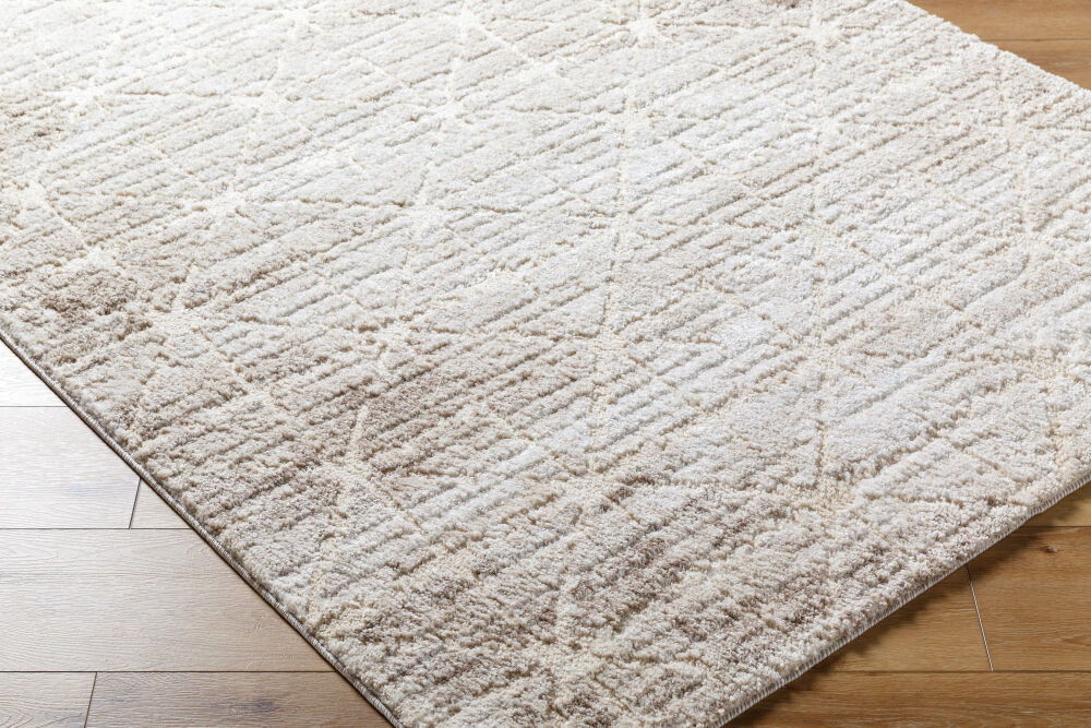 Andorra Plus Machine Woven Rug