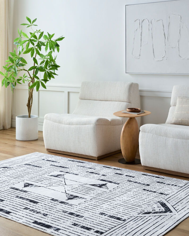 Lavable Machine Woven Rug