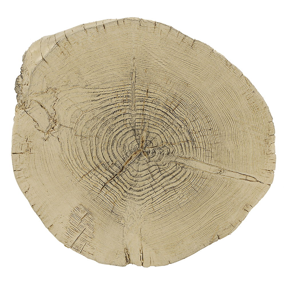 ACME Gene - Accent Table - Natural Brown Finish | Meri Furniture