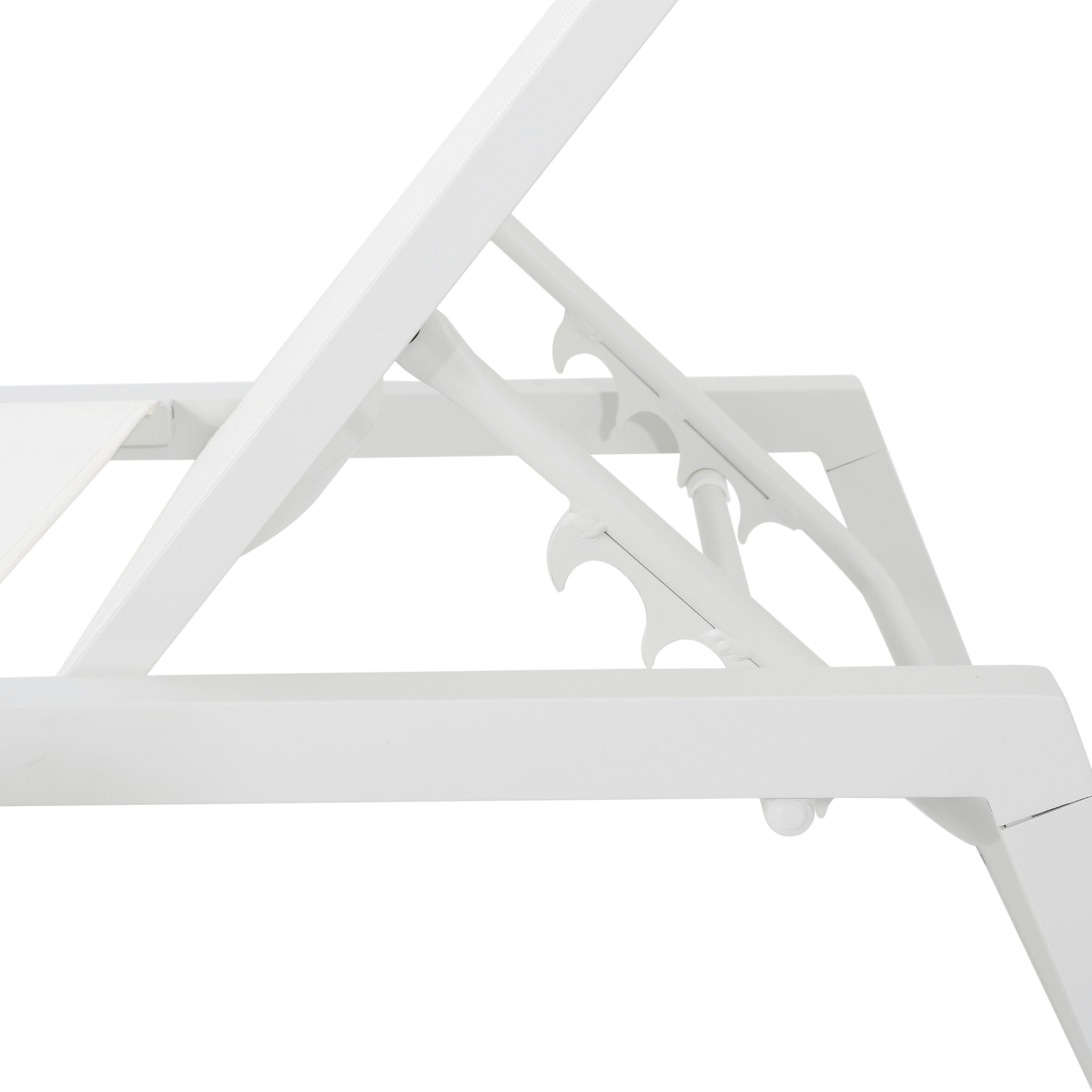 Myers - Modern Chaise Lounge Set With Adjustable Mesh Back