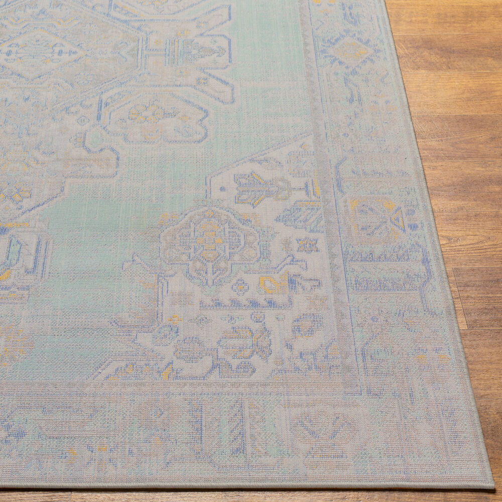 Rafetus Machine Woven Rug