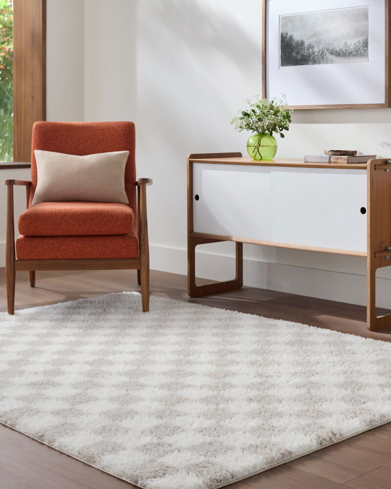 Cloudy Shag Machine Woven Rug