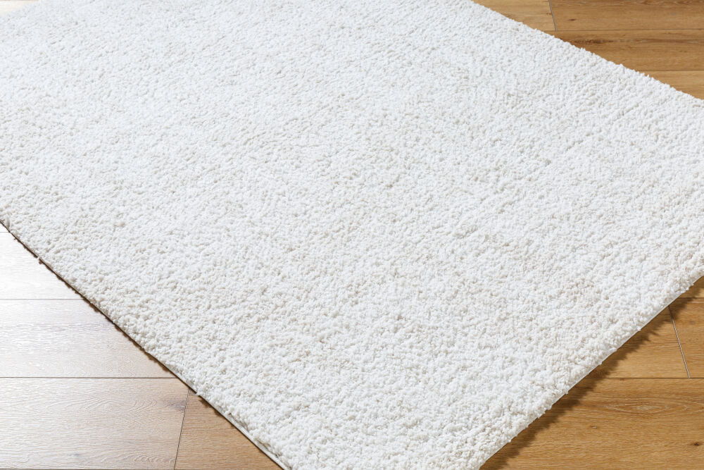 Sacramento Shag Machine Woven Rug