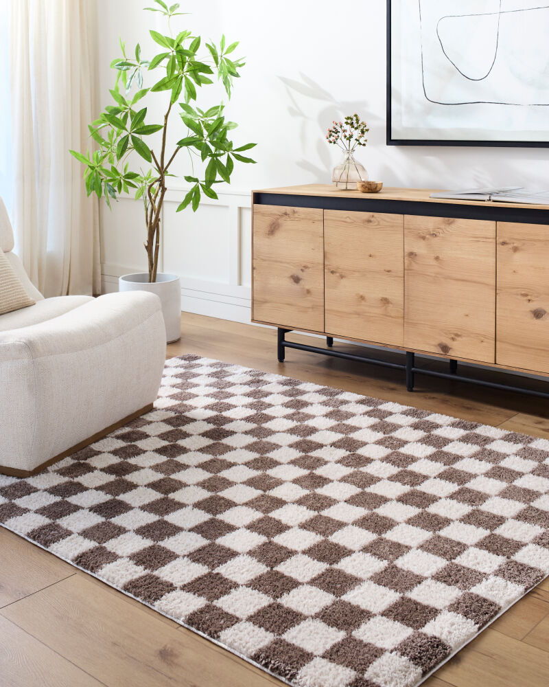 Fossay Shag Machine Woven Rug