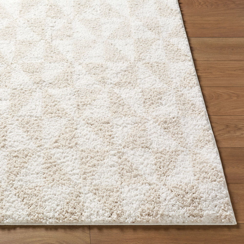 Sacramento Shag Machine Woven Rug