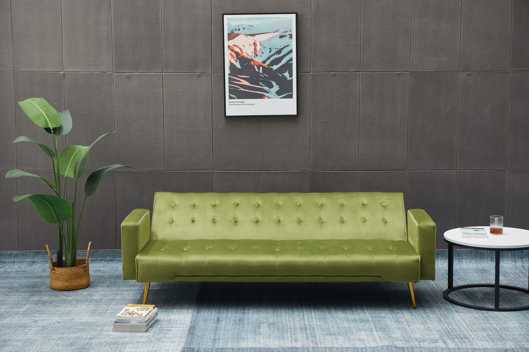 Comfort Compact Design Sofa Bed