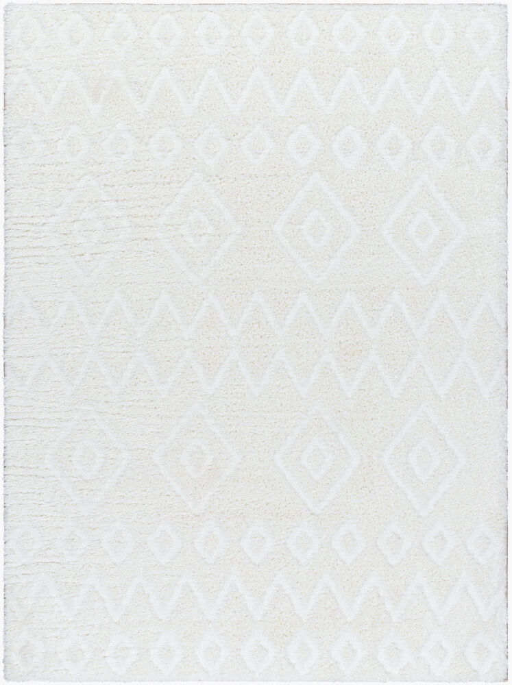 Nomadic Machine Woven Rug