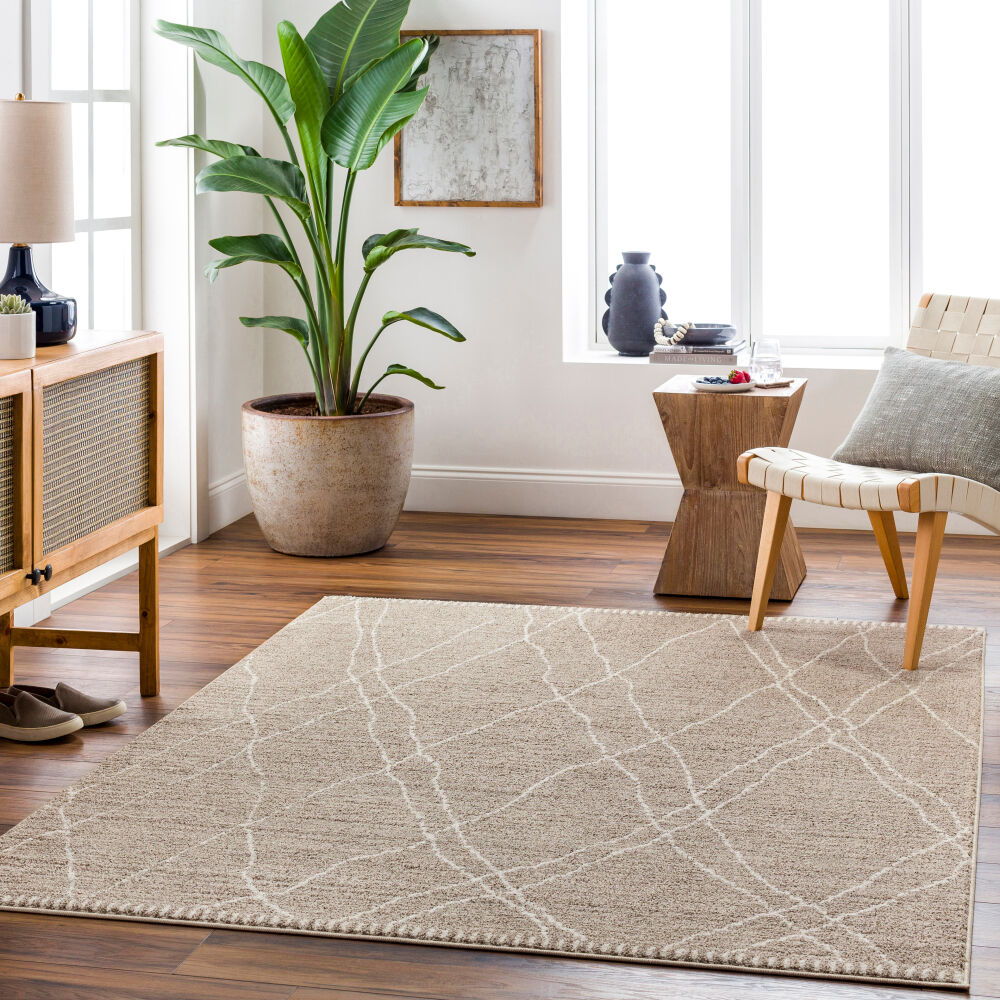 Cozy Machine Woven Rug