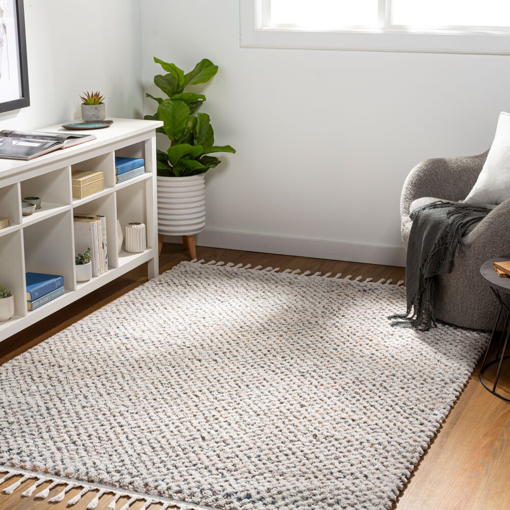 Lyon Machine Woven Rug
