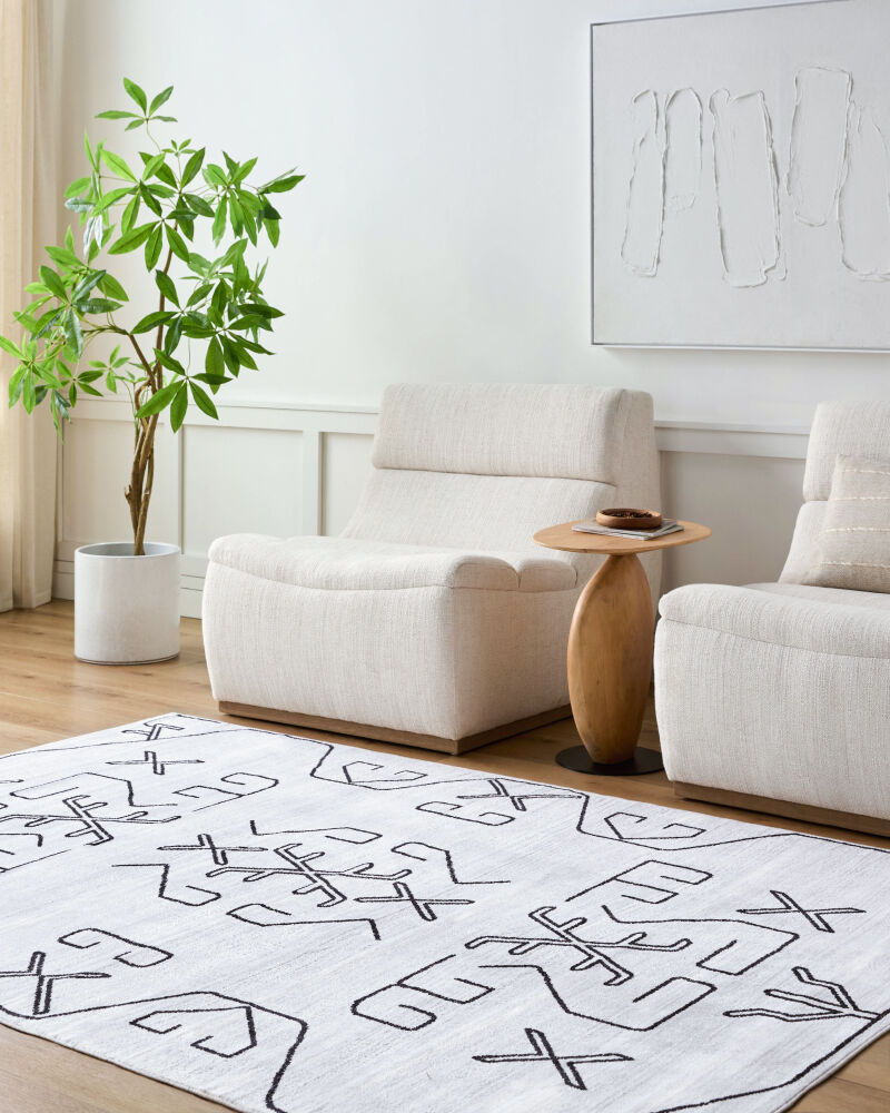 Lavable Machine Woven Rug
