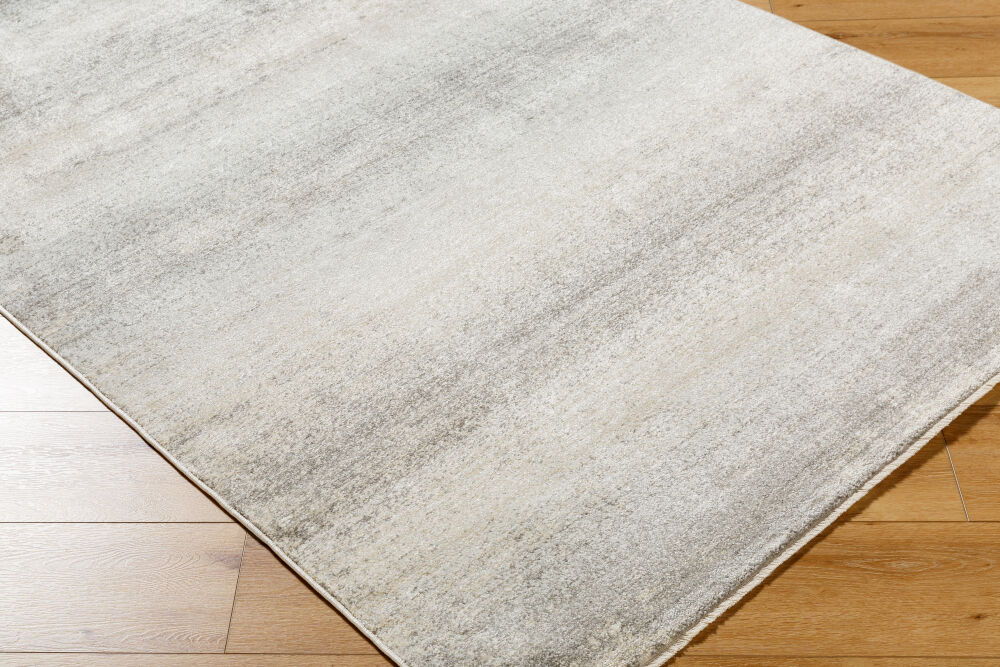 Rojin Machine Woven Rug