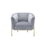 ACME Carlson - Accent Chair | Meri Furniture