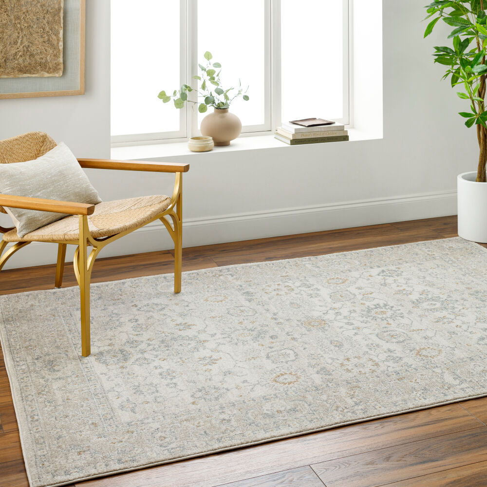 Alpharetta Machine Woven Rug