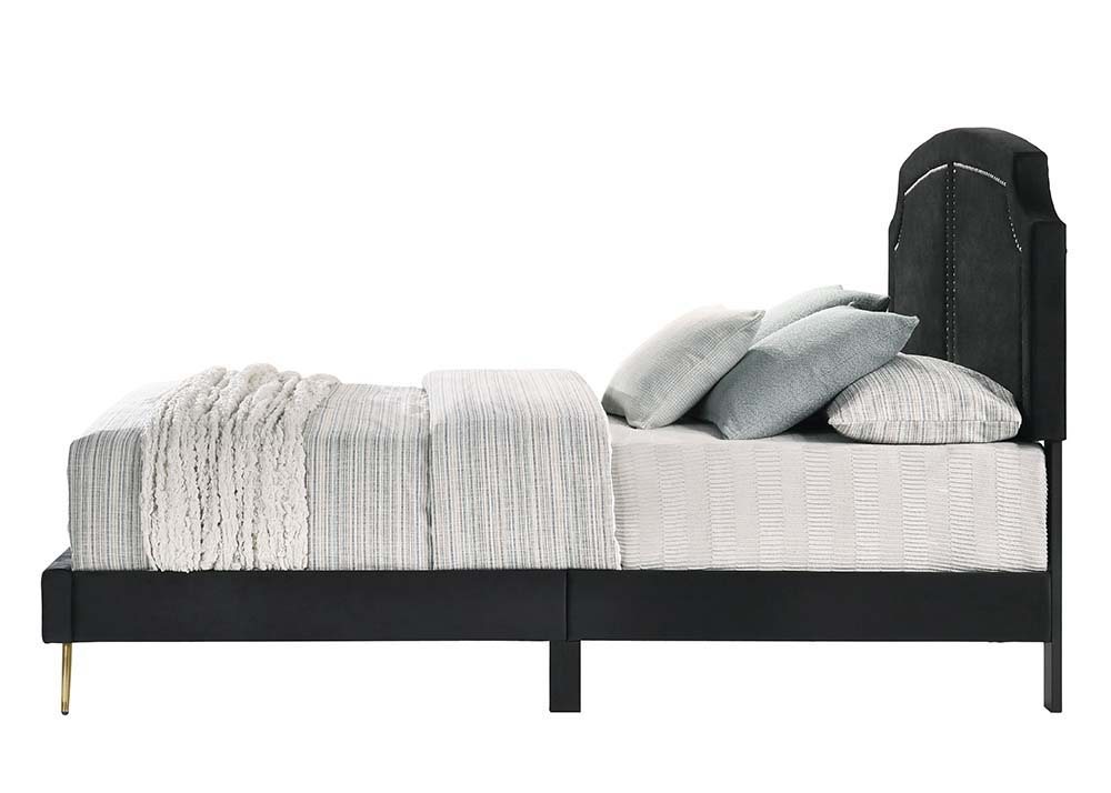 ACME Zeena - Bed | Meri Furniture