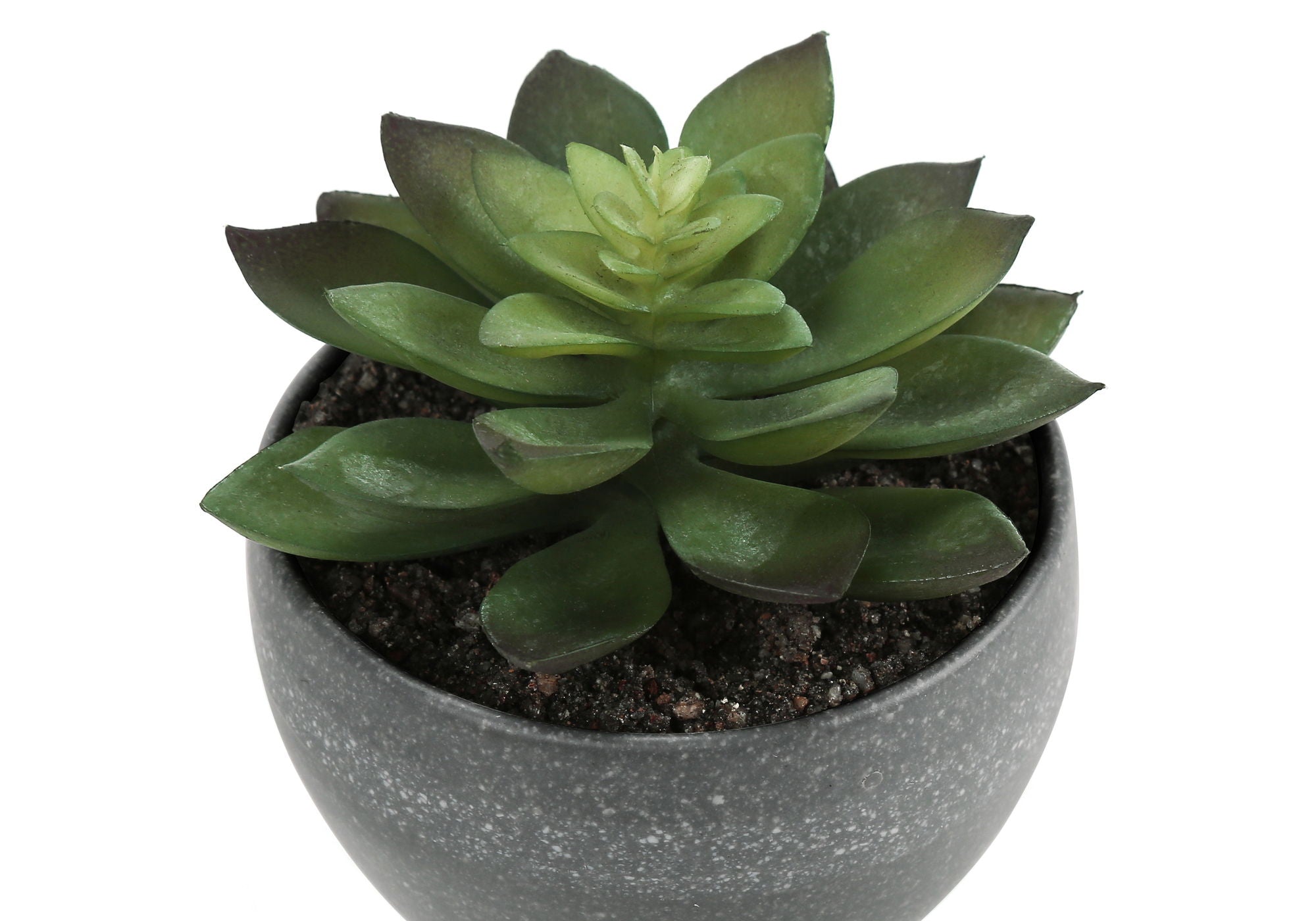 6" Tall, Artificial Plant, Succulent, Indoor, Faux, Fake, Table, Greenery, Potted, Decorative (Set of 3) - Green / Gray